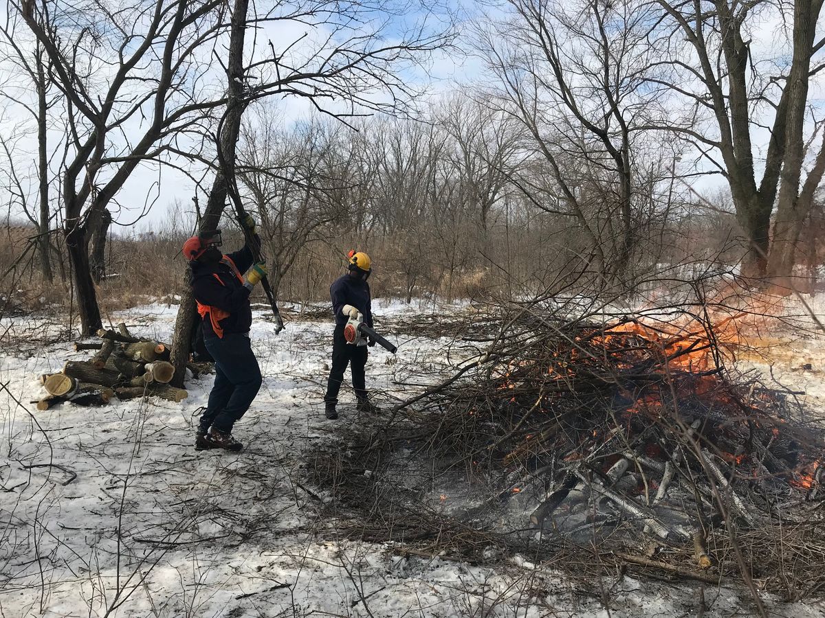 MLK Day of Service and Brush Pile Burn @ Eggers Grove