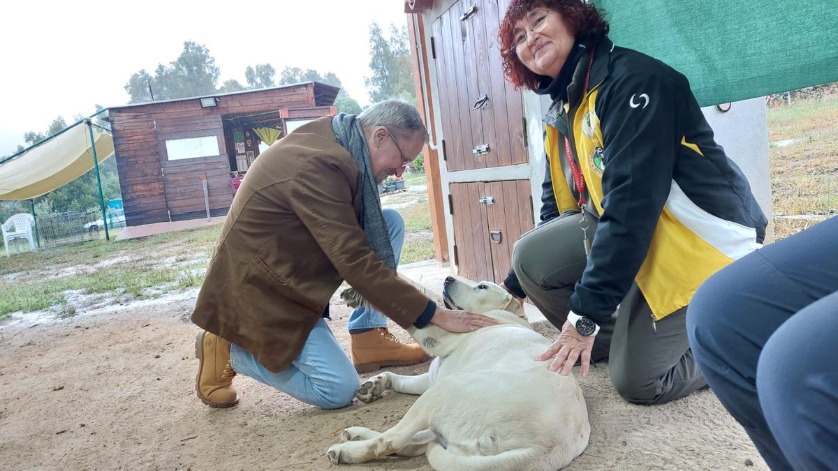 Corso per Terapeuta cognitivo comportamentale cinofilo 2025