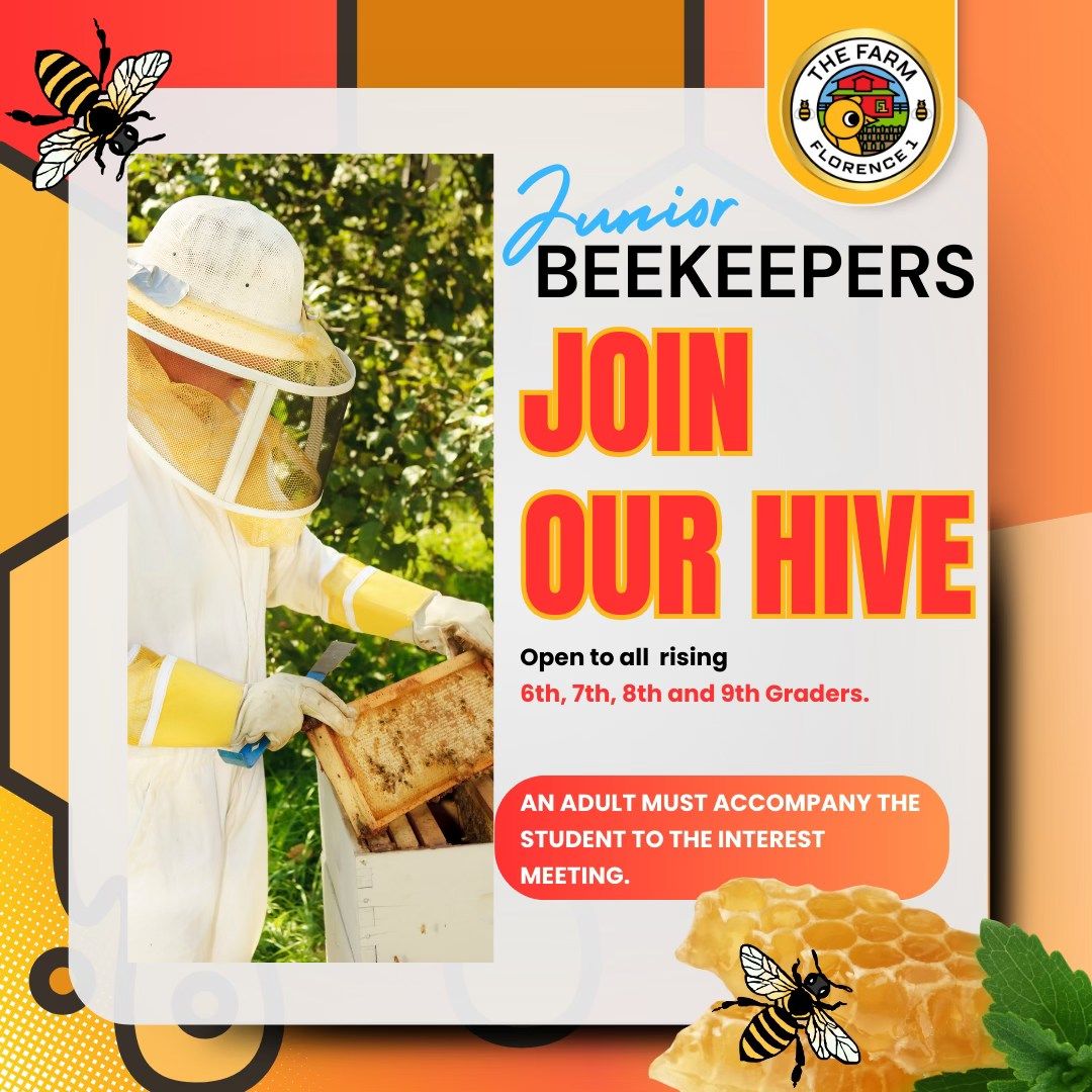 Join Our Hive 