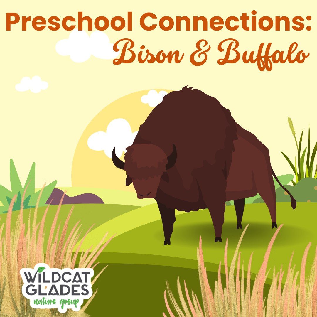 Preschool Connections: Bison & Buffalo