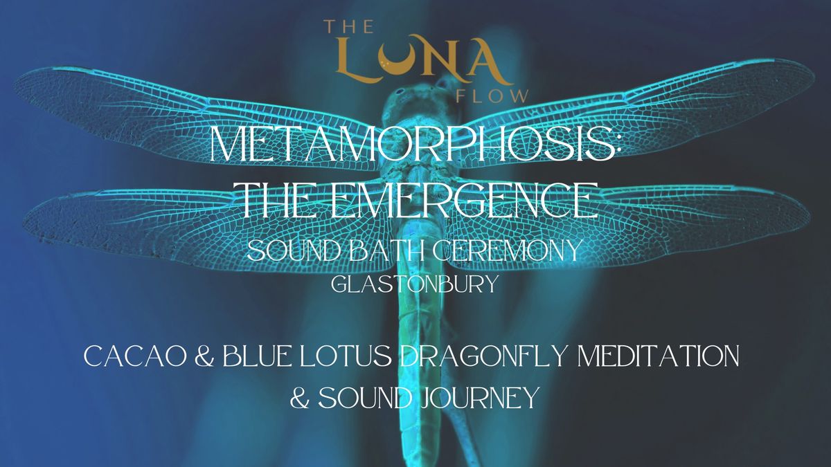 Metamorphosis: A sound bath ceremony in Glastonbury