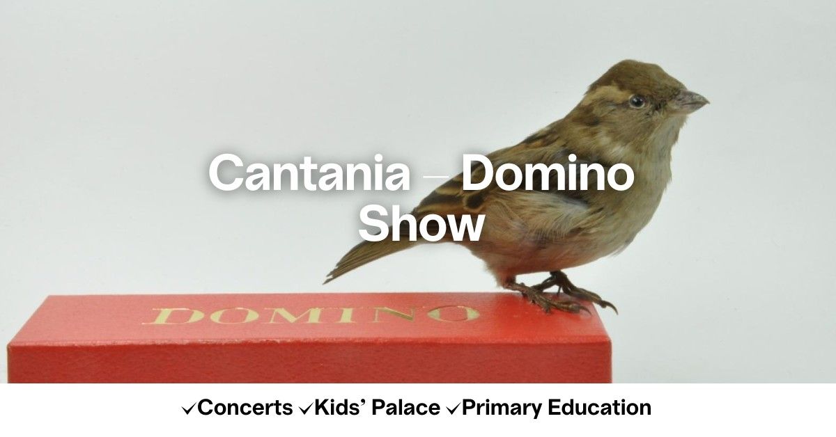 Cantania - Domino Show