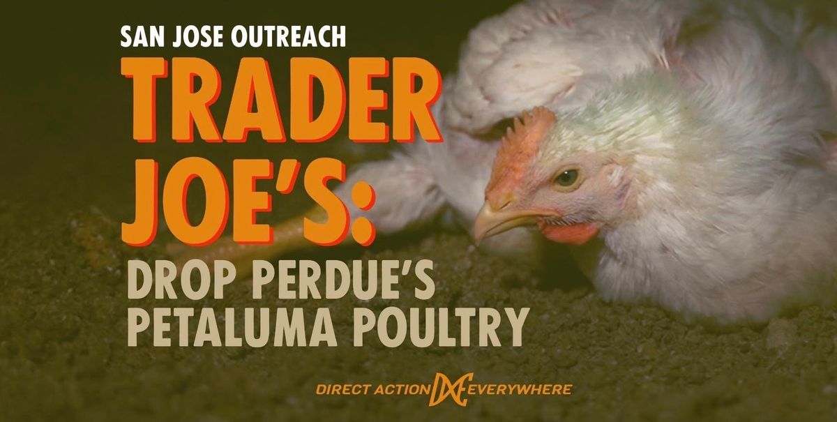 San Jose Outreach: Trader Joe's, Drop Perdue's Petaluma Poultry