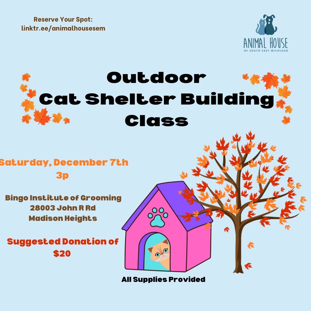 Outdoor Cat Shelter Building Class