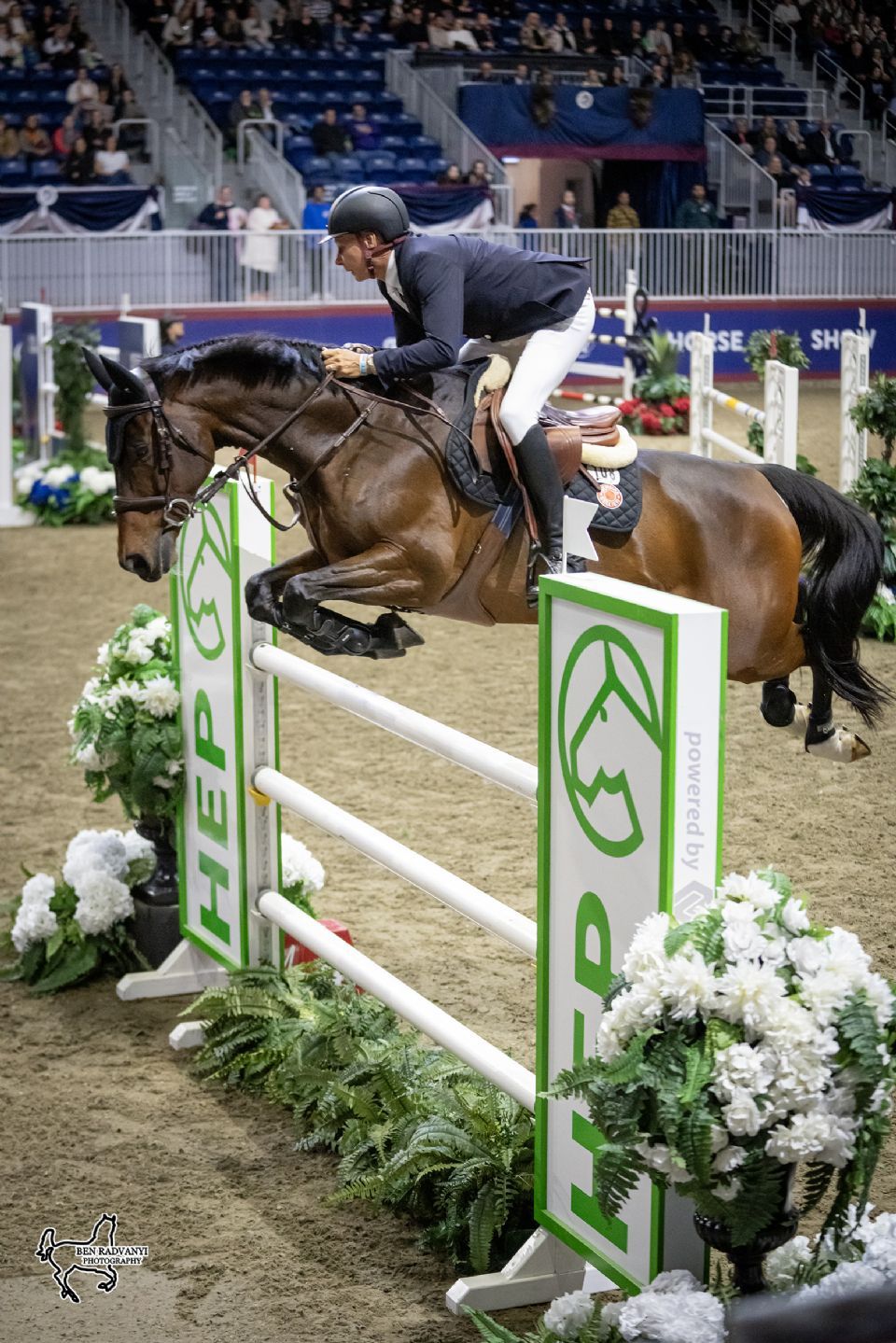 Championship Show Jumping at Coca-Cola Coliseum