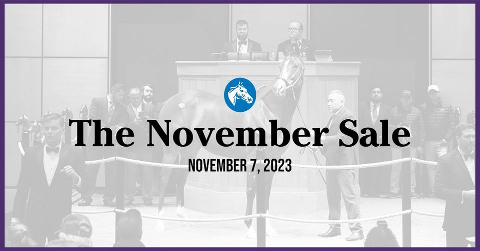 The November Sale