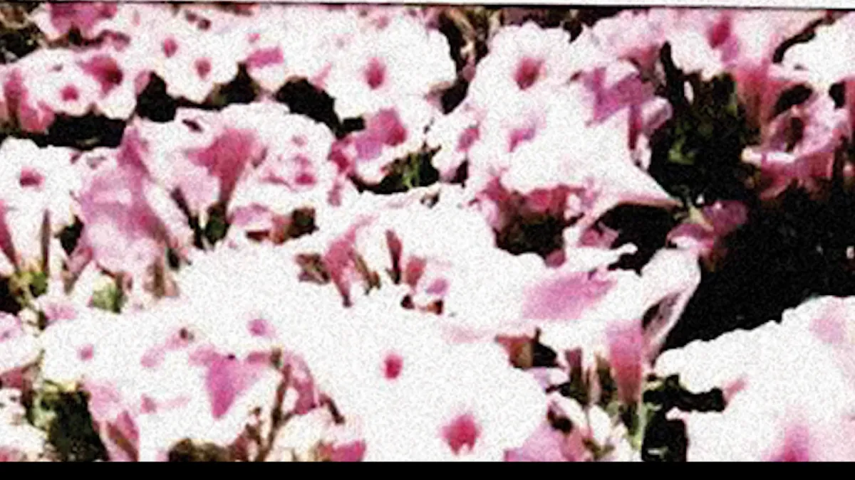 John Moreland, Patterson Hood in Annapolis