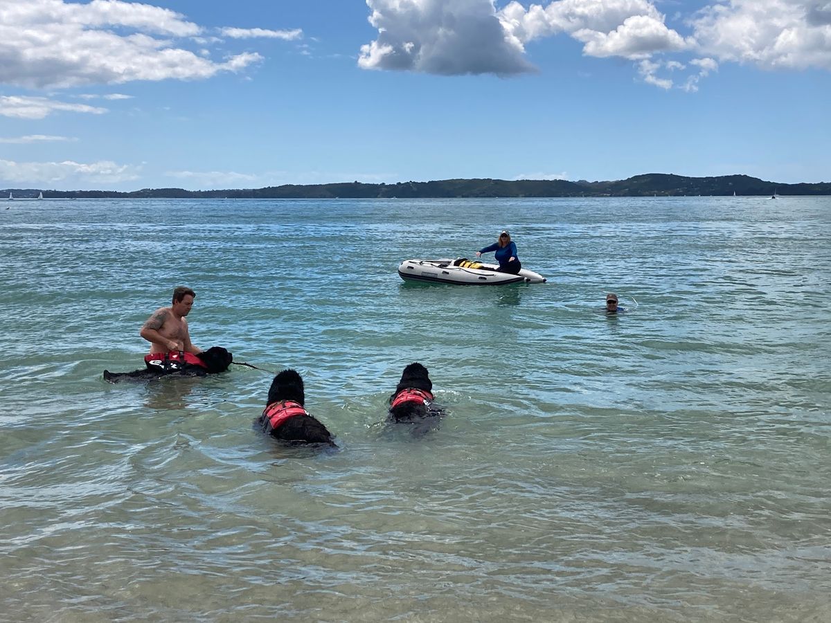 Water Training - Little Shoal Bay