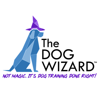 The Dog Wizard of Charlotte