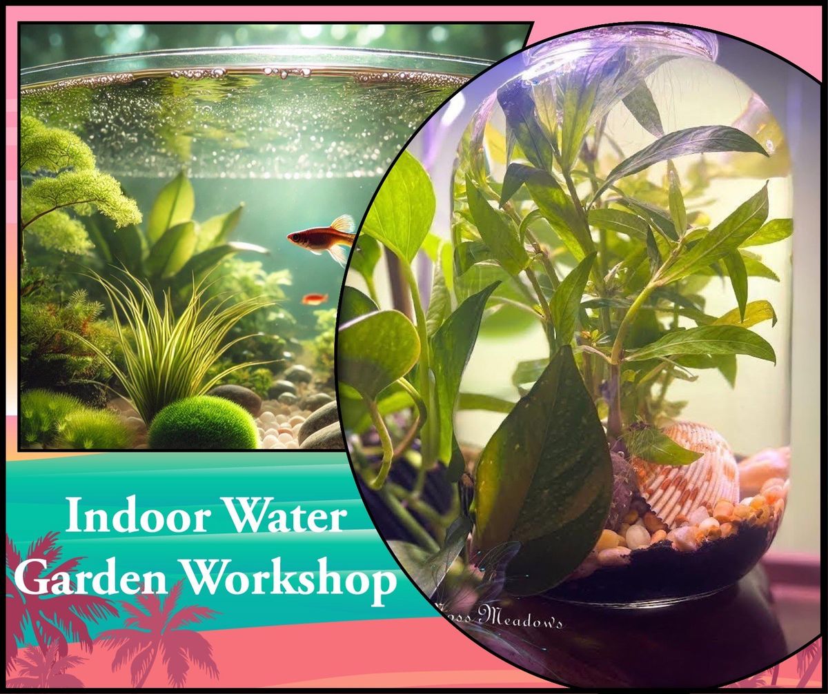 Indoor Water Garden Workshop