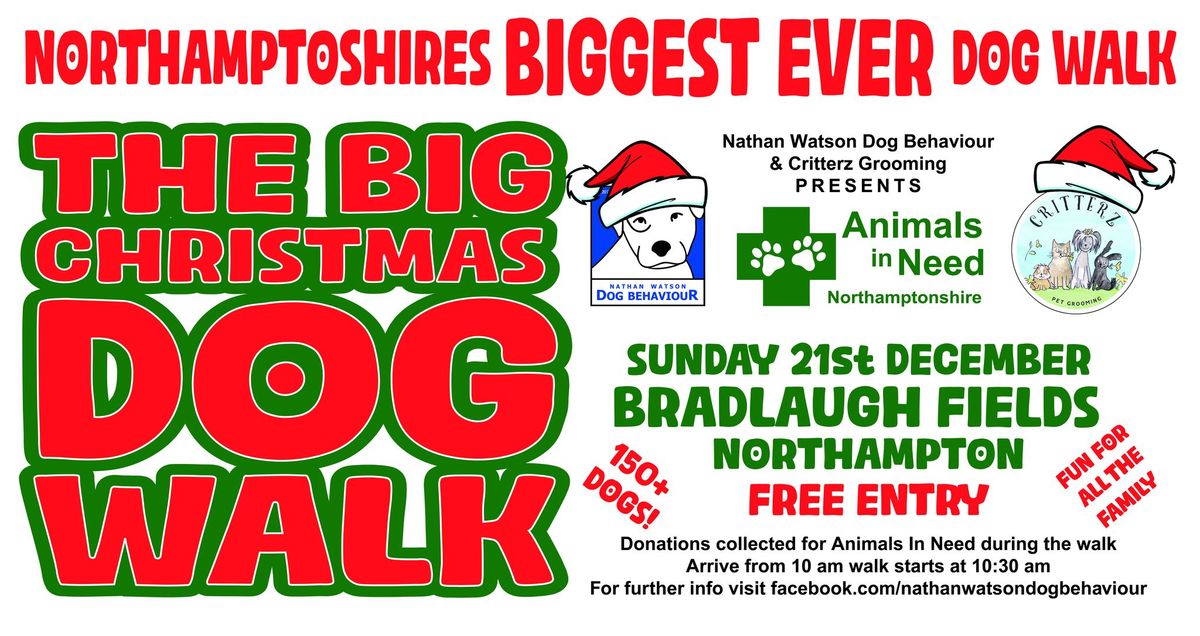 The BIG Christmas Dog Walk for Animals In Need 2025