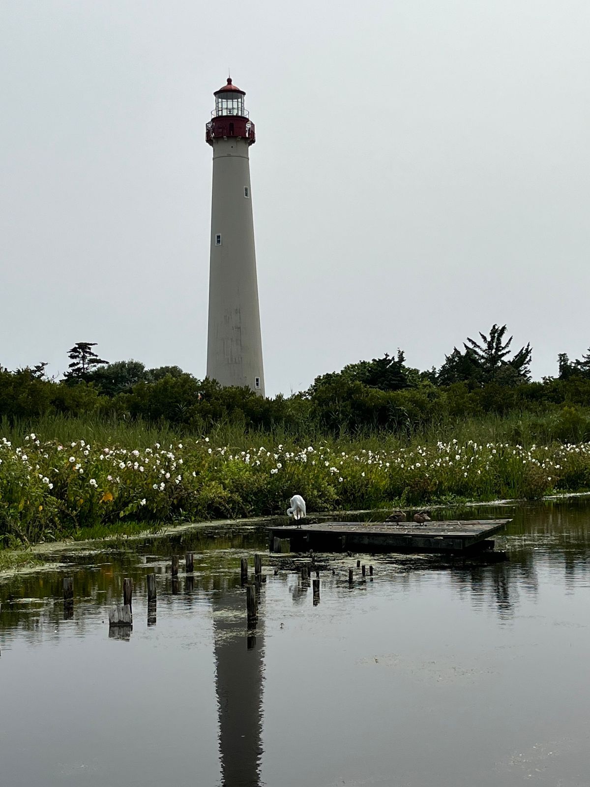 Fall Migratory Fallout Walks