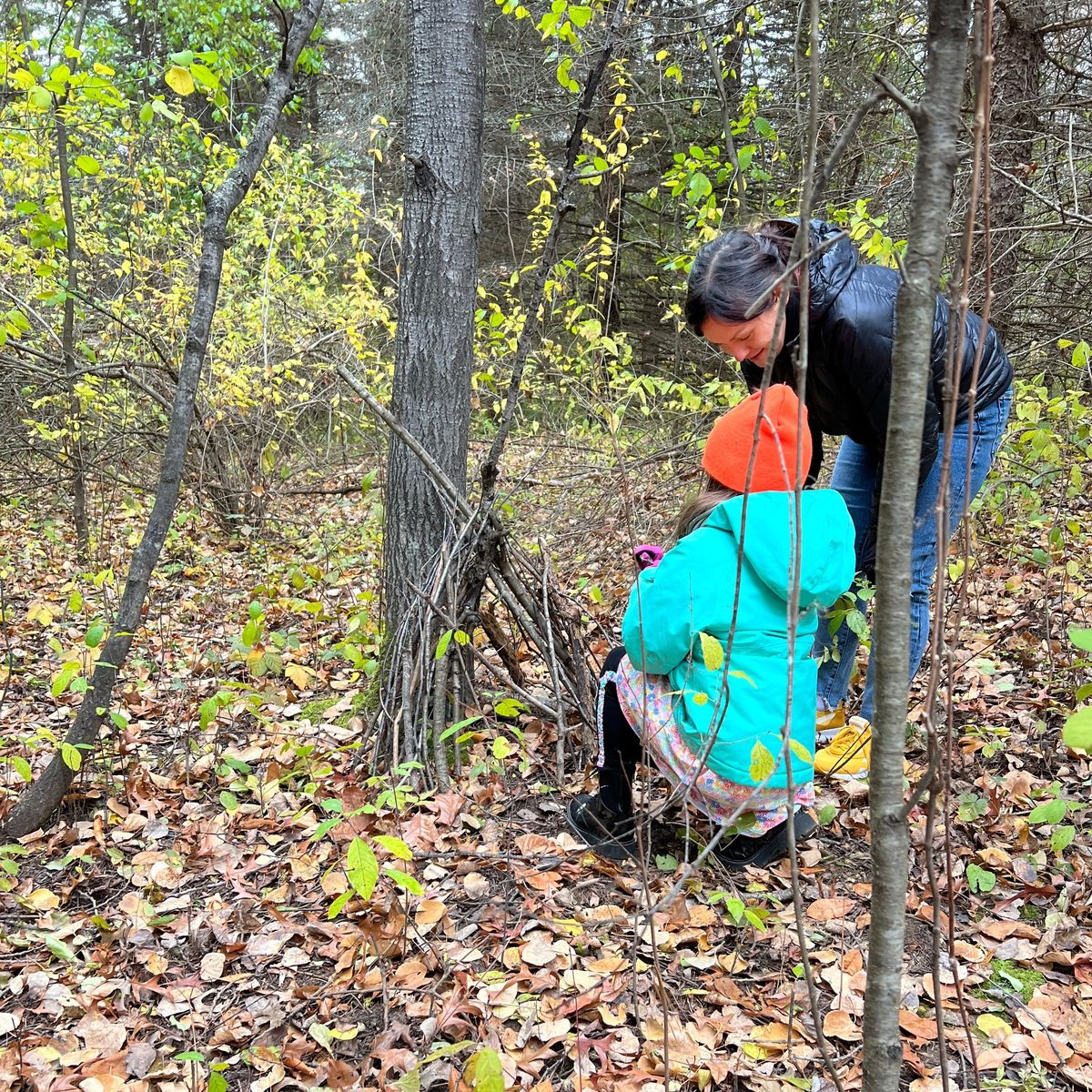 Natural Wonders: Fairy Home Building