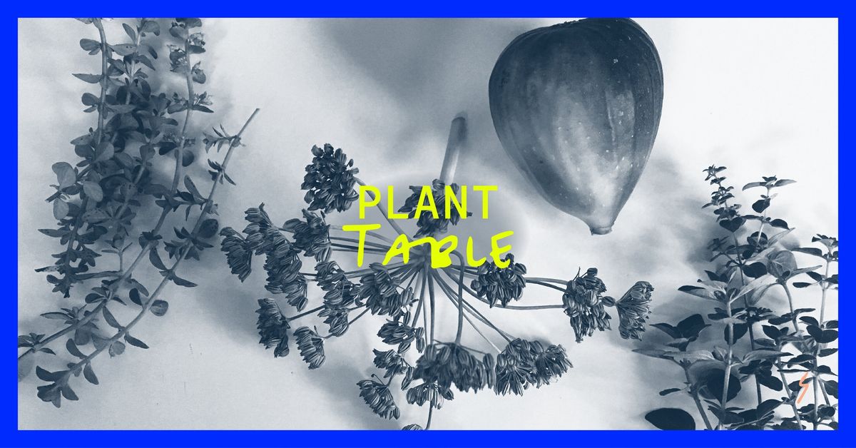 Plant Table | Tiny Fest 2024