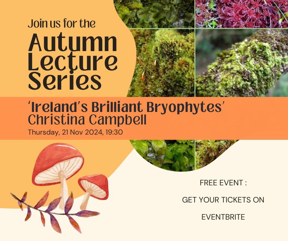 Autumn Lecture Series:  Ireland\u2019s Brilliant Bryophytes