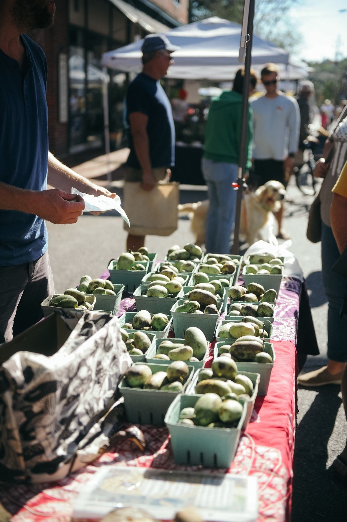 The Berlin Farmers Market in October