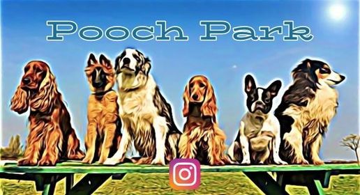 POOCH PARK