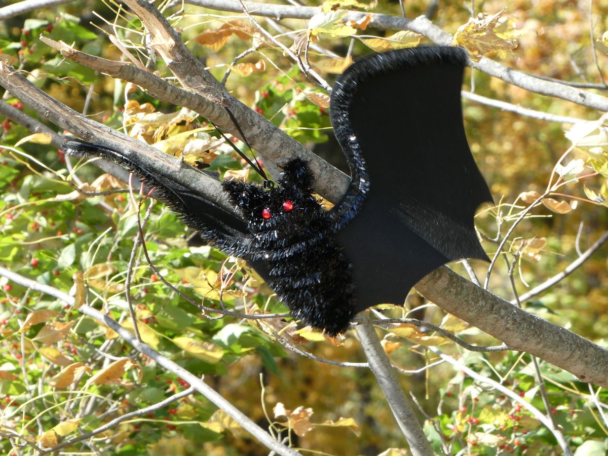 4th Annual Halloween on the Levee Trail