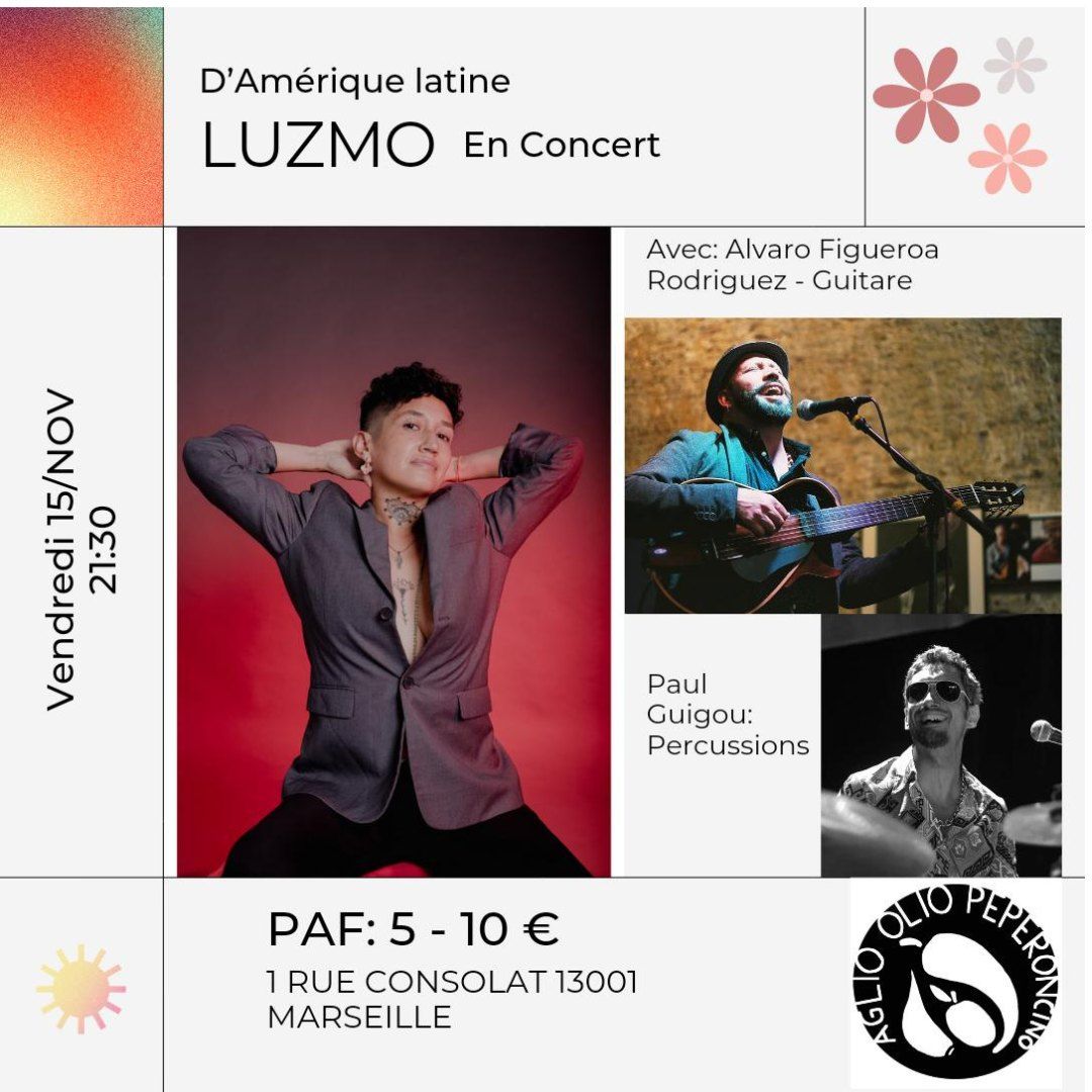 Vendredi 15 \/ LUZMO Concert (Alvaro Figueroa + Paul Guigou)