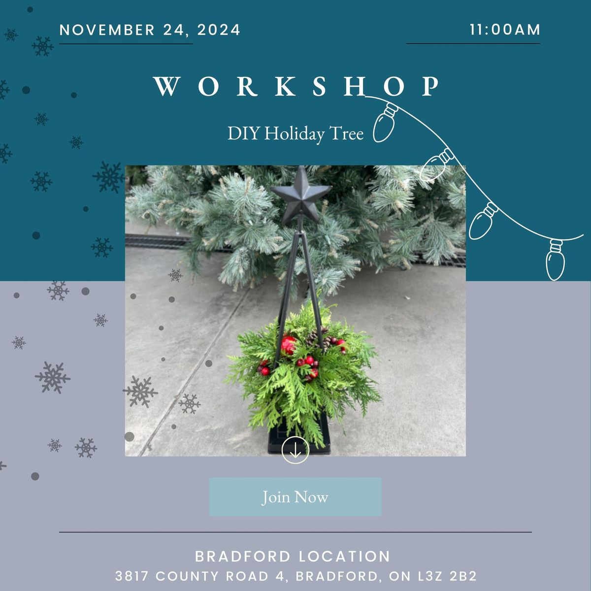 DIY Holiday Tree w\/ Fresh Greens (Small) Workshop (Bradford Location)