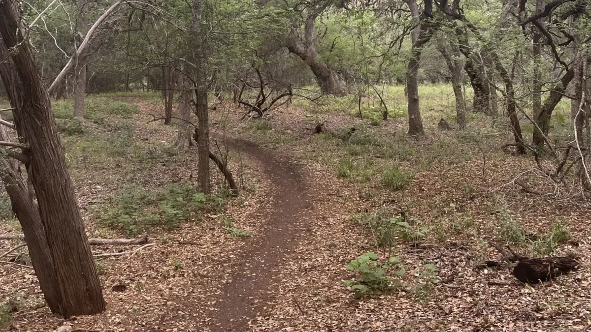 McAllister Perimeter Loop - 9.0 Miles