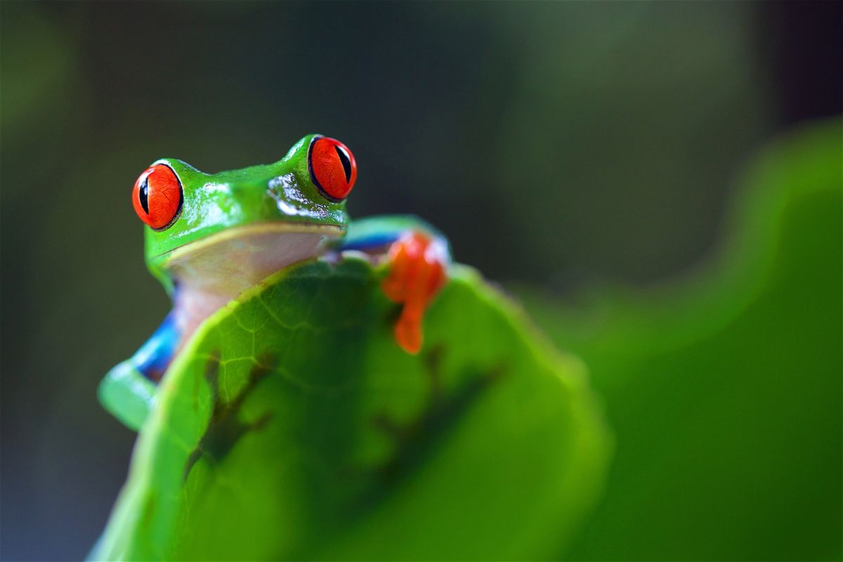 COSTA RICA