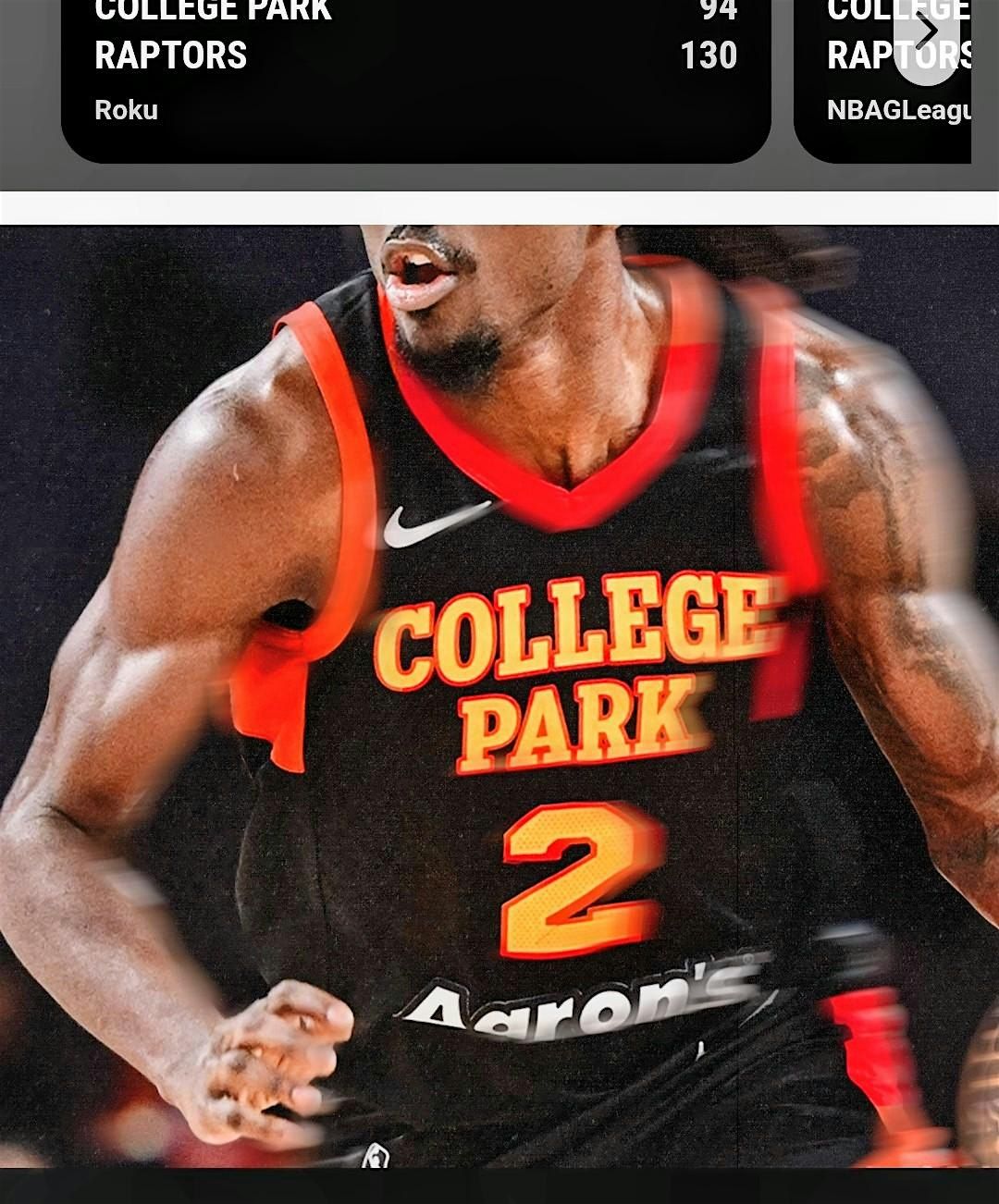 NBA COLLEGE PARK SKY HAWKS GAME