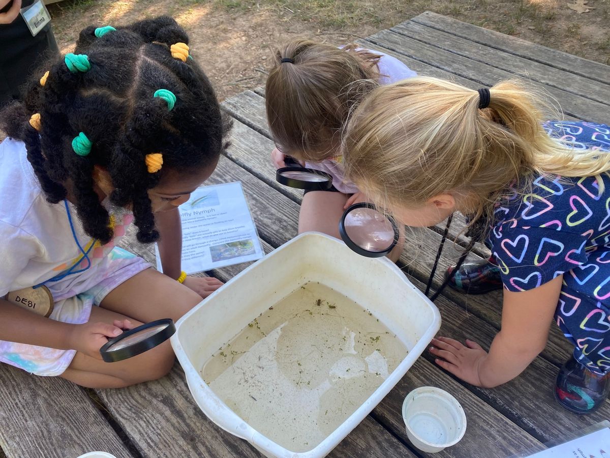 "Preschoolers" at the Pond