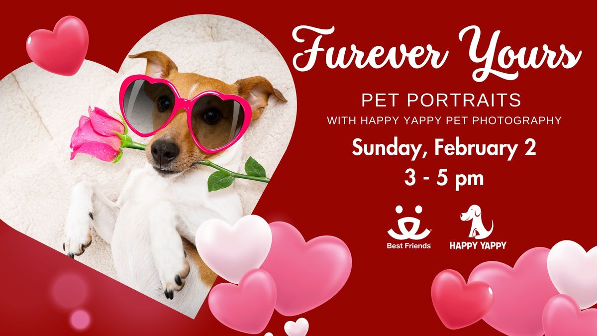 Furrever Yours: Pet Portraits with Happy Yappy Photography Benefitting Best Friends