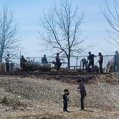 Well-Watered Garden Project Downsview