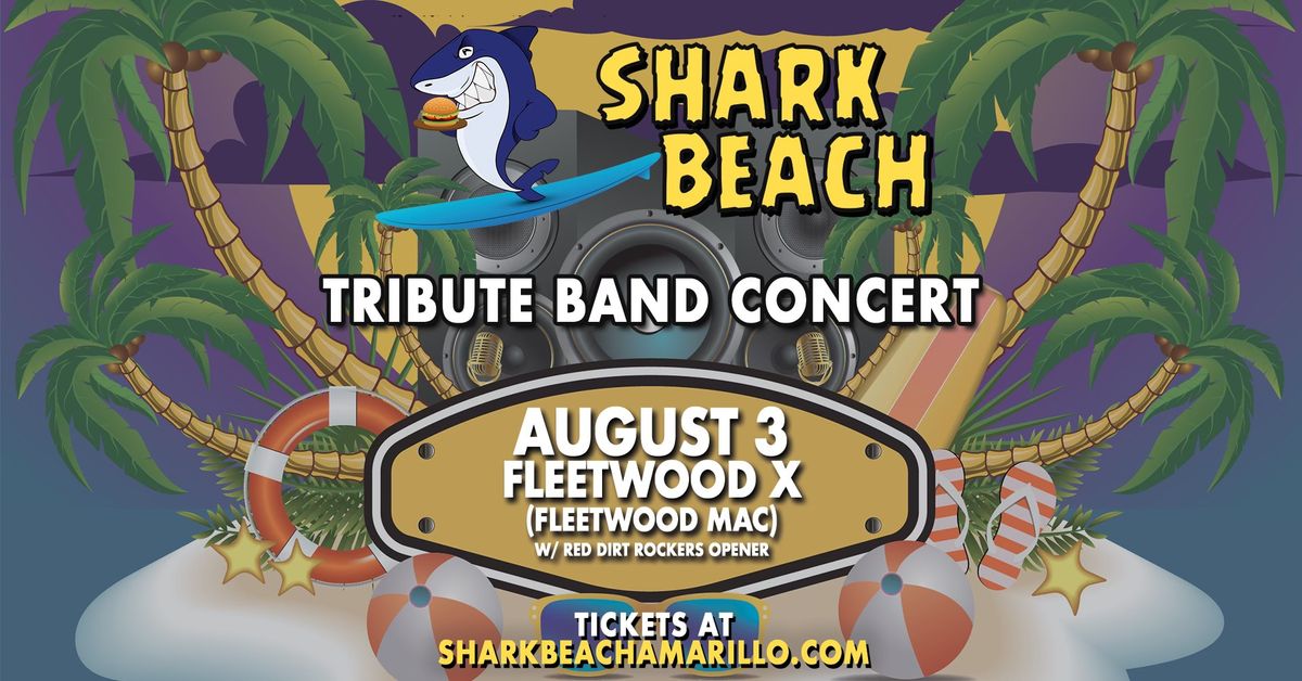 Fleetwood Mac Tribute Band Concert