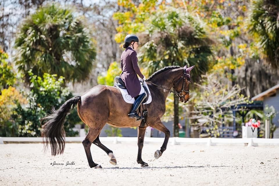 Dressage Clinic with Kim Kobryn