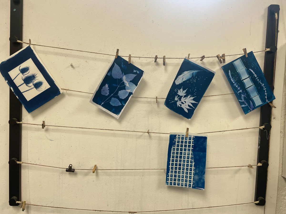 Cyanotypes Printing