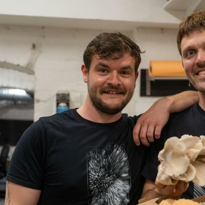 Pilzling (I.M.A. Pilzling GmbH)