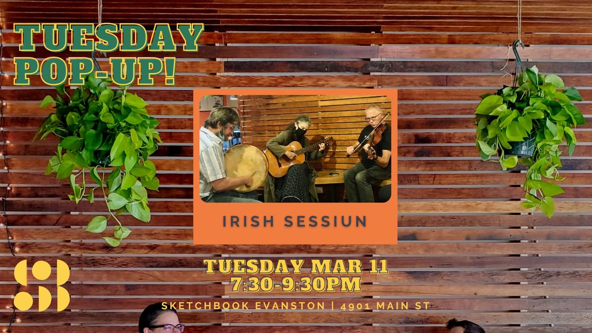 Irish Sessiun at Sketchbook Evanston