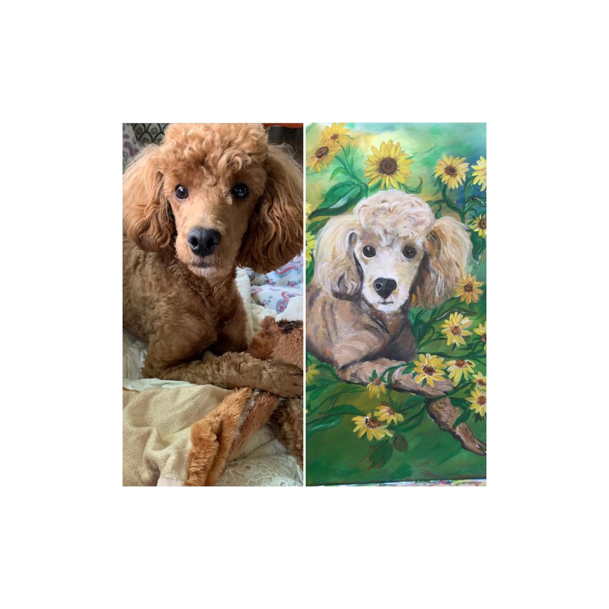 Paint Your Pet! ( full color photo of your pet due by Feb. 15th)