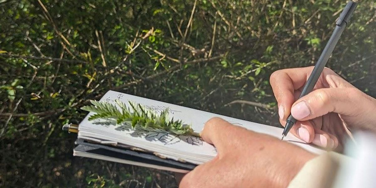 Nature Journaling in Wardens' Wood