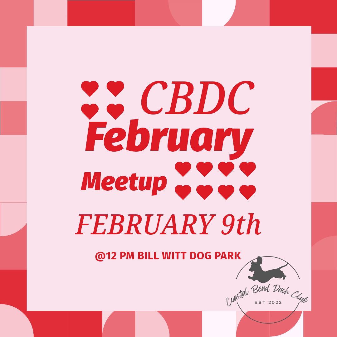 CBDC February Monthly Meetup