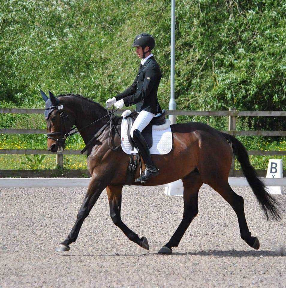 Josh Mellor Flatwork Clinic HVRC