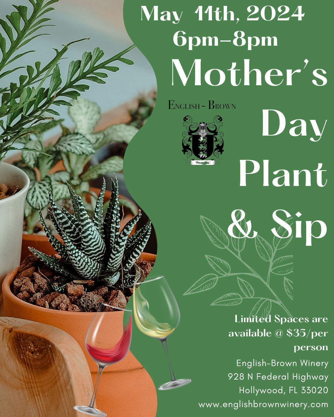 Mother's Day Spring Plant & Sip