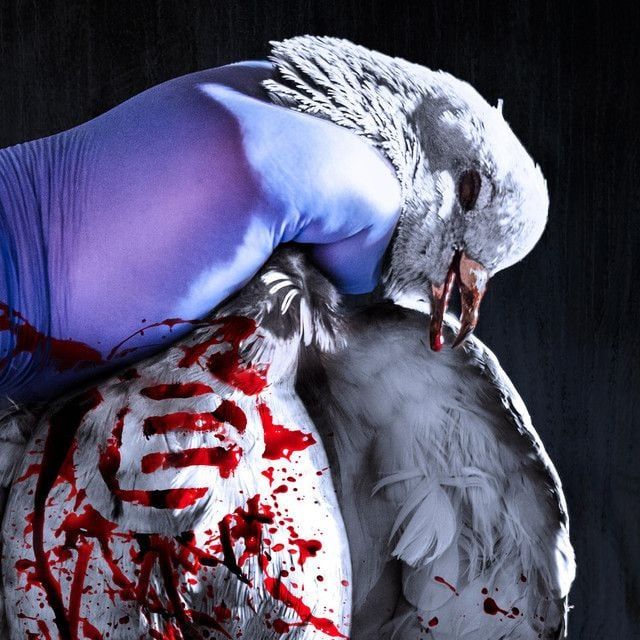 Merzbow, Napalm Death in \u6e0b\u8c37\u533a