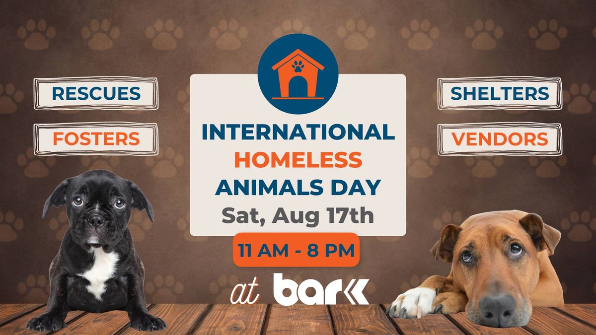International Homeless Animals Day at Bar K!
