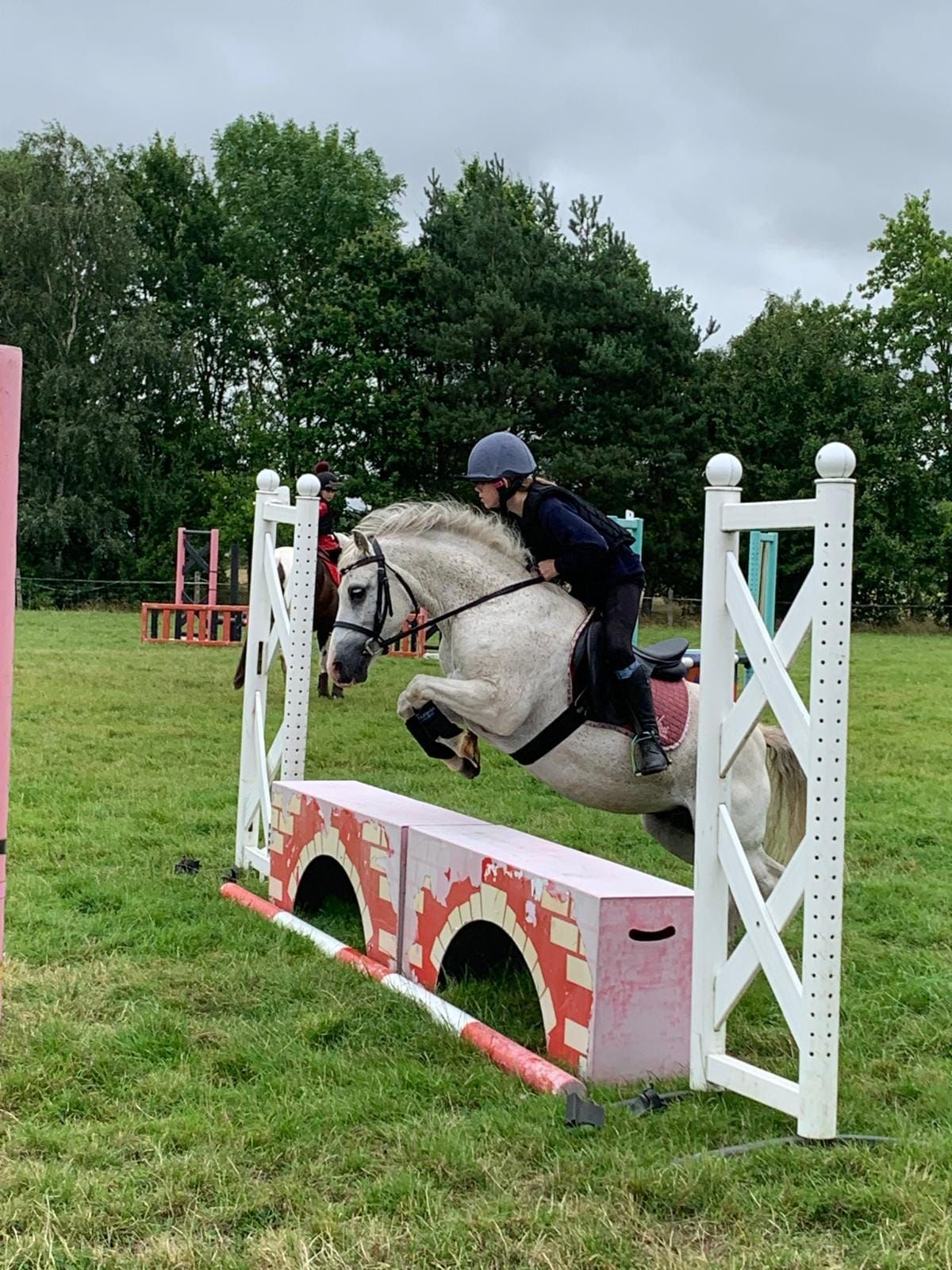 Open Show Jumping 