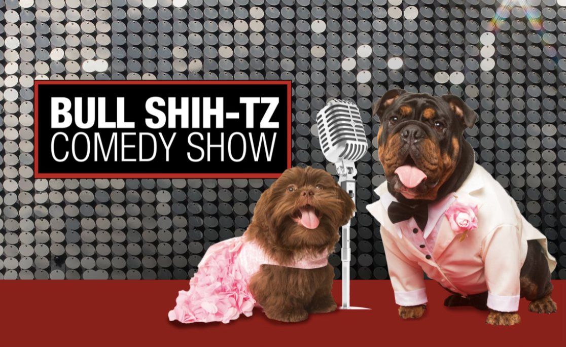 Bull Shihtz Comedy Show 2025