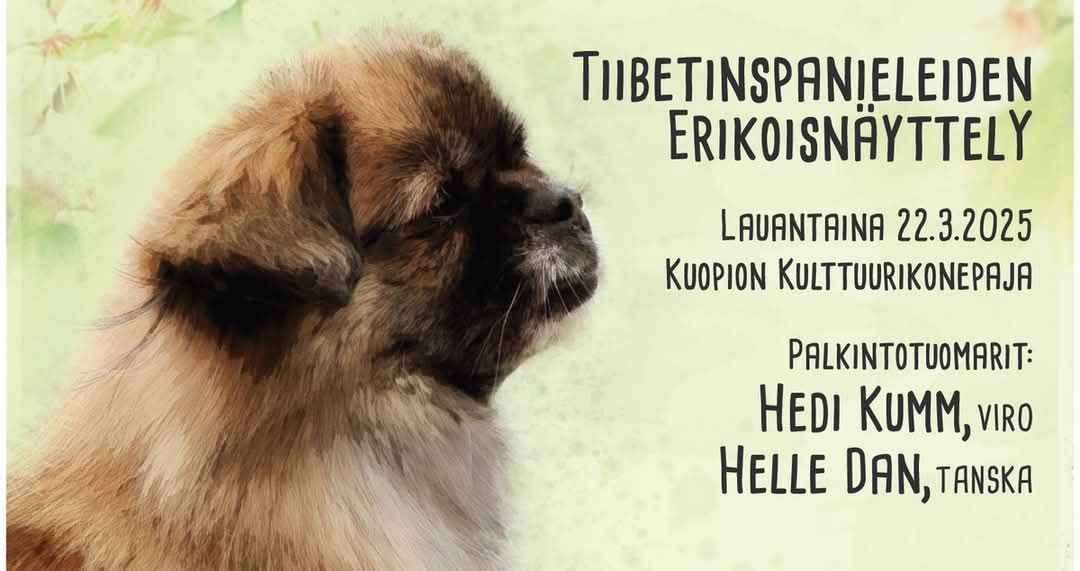 Erikoisn\u00e4yttely 2025, Tiibetinspanielit ry