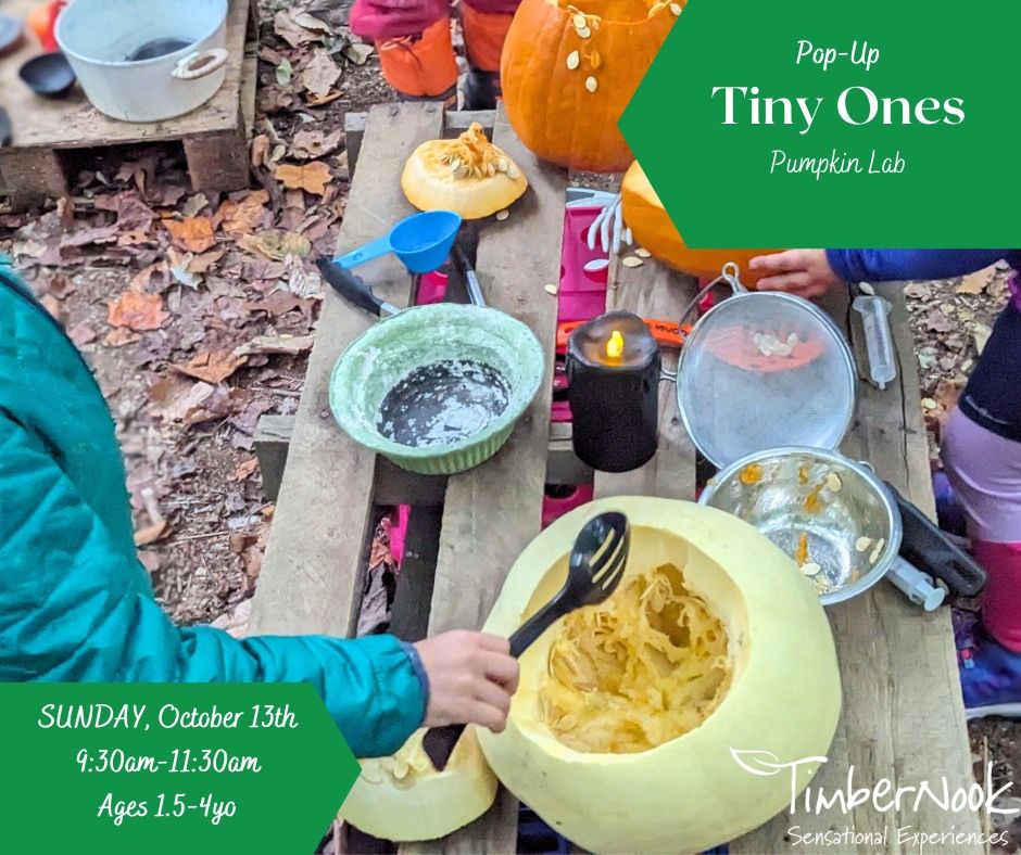 PUMPKIN LAB: Tiny Ones Drop-In (SUNDAY)