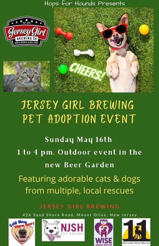 Jersey Girl Brewing Pet Adoption Jersey Girl Brewing Company Hackettstown 16 May 2021