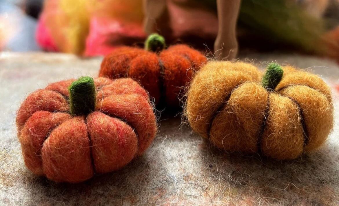 Pumpkin needle felting Workshop