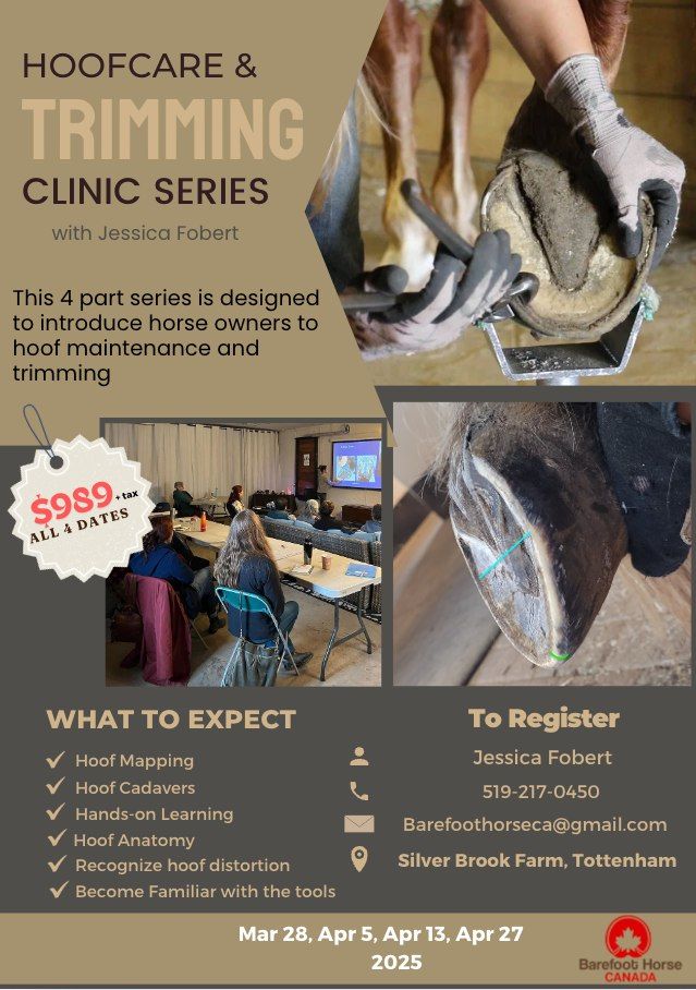 Hoofcare & Trimming Clinic Series - Spring 2025