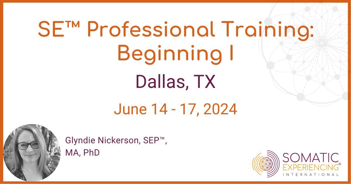 SE Professional Training: Dallas, TX - Beginning I - June 14-17, 2024